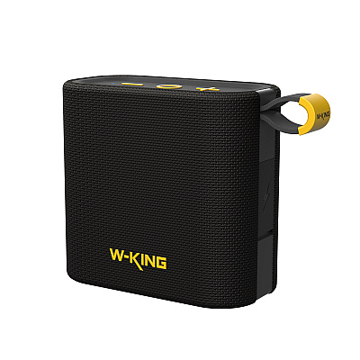 W-KING D2